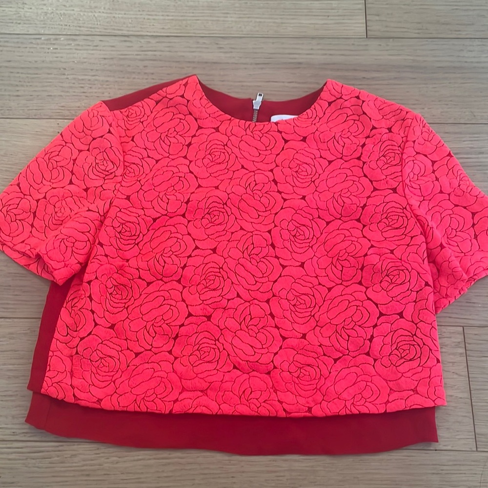 Alc floral top